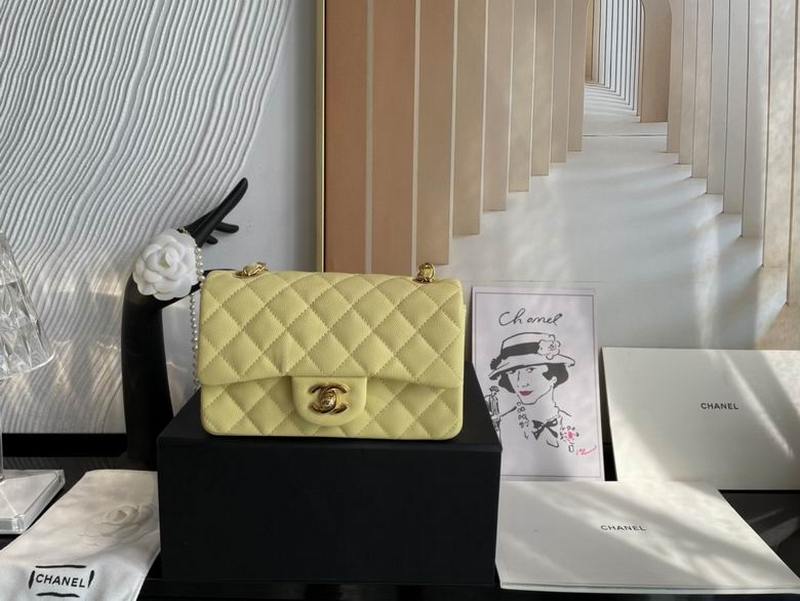 Chanel Handbags 452